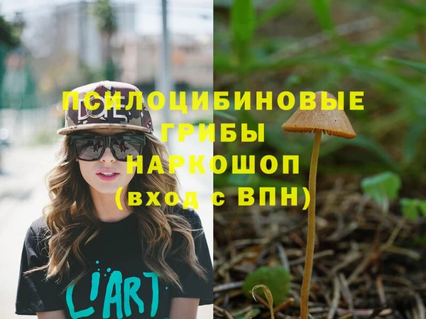 шишки Абдулино